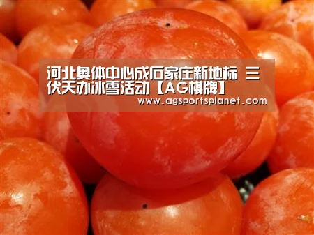河北奥体中心成石家庄新地标 三伏天办冰雪活动【AG棋牌】(图2) AG棋牌