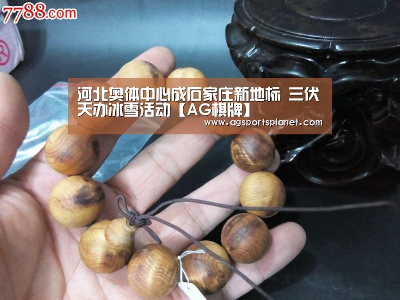 河北奥体中心成石家庄新地标 三伏天办冰雪活动【AG棋牌】(图3) AG篮球