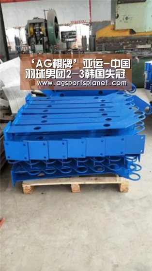 ‘AG棋牌’亚运-中国羽球男团2-3韩国失冠 谌龙输球林丹扳平比分(图4) AG百家乐
