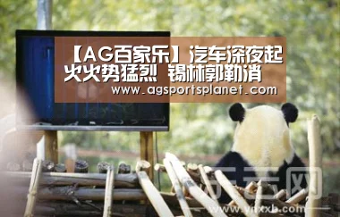 AG棋牌